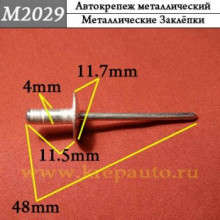 Автокрепеж металлический заклепка AN3-M2029